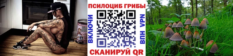 Галлюциногенные грибы мухоморы  Оренбург 