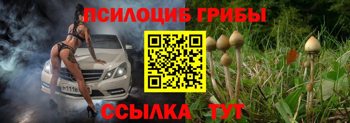 Галлюциногенные грибы Psilocybe  Вход с VPN  Псилоцибиновые грибы ЛСД  Оренбург 