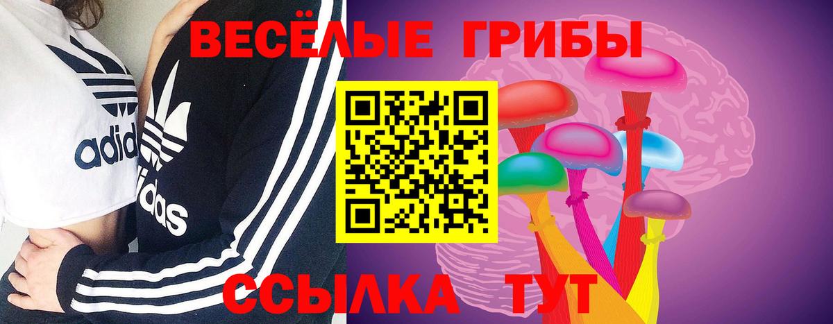 Галлюциногенные грибы Magic Shrooms Оренбург